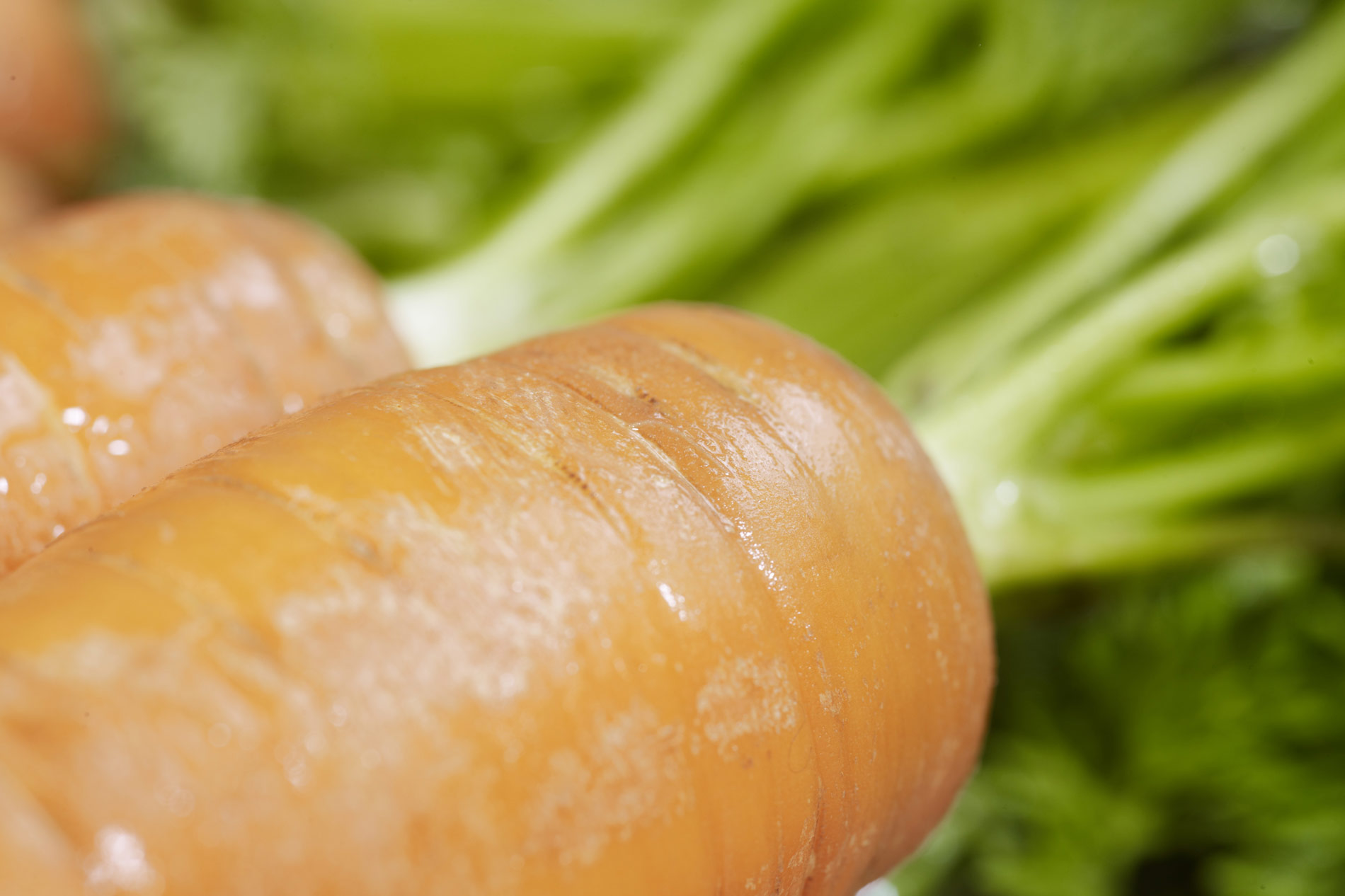 carrots © ADVANTAGE 3377体育