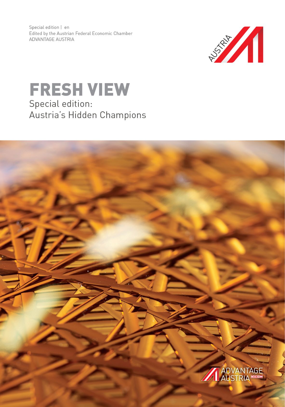 Austria's Hidden Champions, en | de